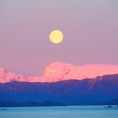 金博宝手机app下载